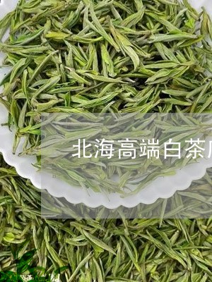 北海高端白茶店铺推荐一下/2023040126159