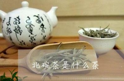 北碗茶是什么茶/2023031960592