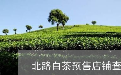 北路白茶预售店铺查询官网/2023040151592