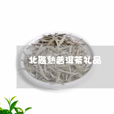 北辰熟普洱茶礼品/2023041019715