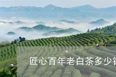 匠心百年老白茶多少钱一饼/2023040120784