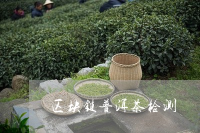 区块链普洱茶检测/2023041026151