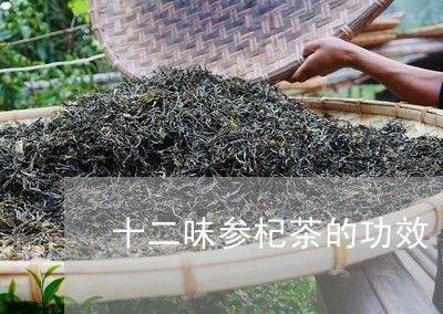 十二味参杞茶的功效/2023032159514