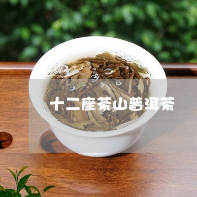 十二座茶山普洱茶/2023041061515