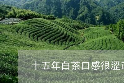 十五年白茶口感很涩正常吗/2023040259483