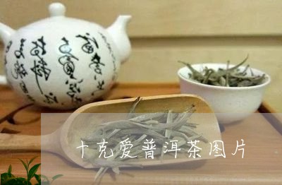 十克爱普洱茶图片/2023033041946