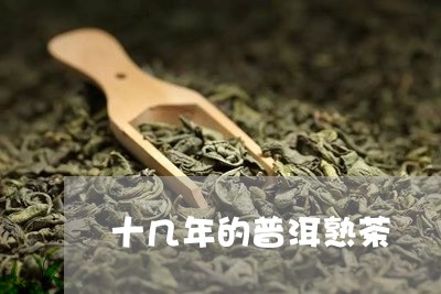 十几年的普洱熟茶/2023032979493