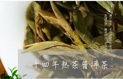 十四年熟茶普洱茶/2023031647695