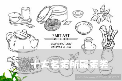 十大名茶所属茶类/2023032400360