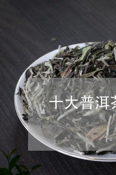 十大普洱茶排名榜/2023041315473