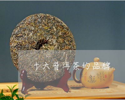 十大普洱茶的品牌/2023033195161