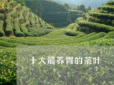 十大最养胃的茶叶/2023032644737