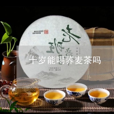 十岁能喝荞麦茶吗/2023032265929