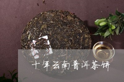 十年云南普洱茶饼/2023040128571