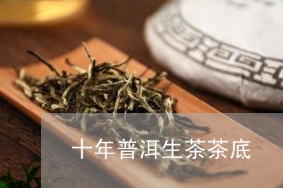 十年普洱生茶茶底/2023032909794