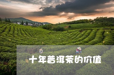 十年普洱茶的价值/2023033157694