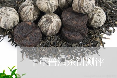 十年普洱茶饼测评/2023031751602