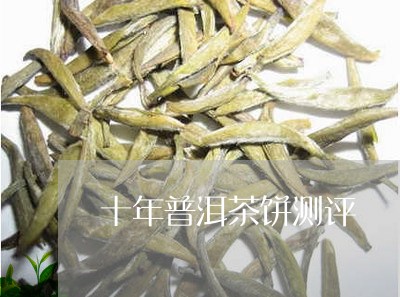 十年普洱茶饼测评/2023041373926