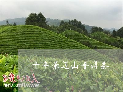 十年景迈山普洱茶/2023033061726