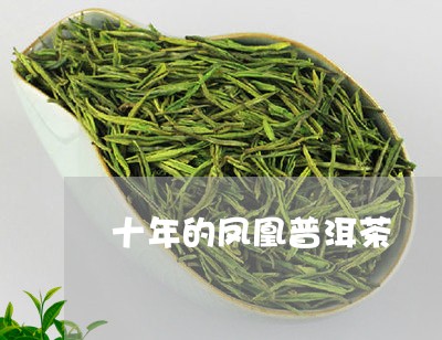 十年的凤凰普洱茶/2023033167260