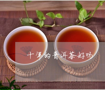 十年的普洱茶好吗/2023041464130