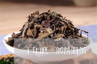 十年磨一剑普洱茶/2023032928381