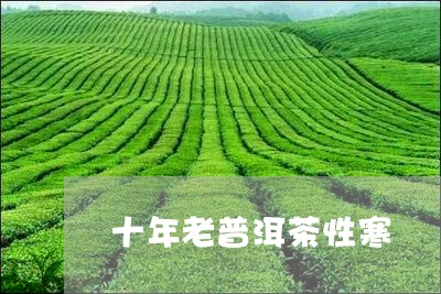 十年老普洱茶性寒/2023033093815