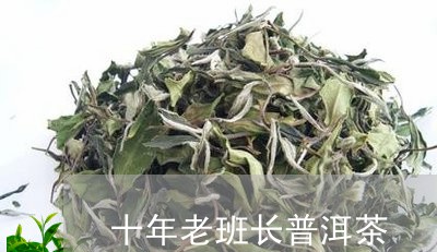 十年老班长普洱茶/2023031732826