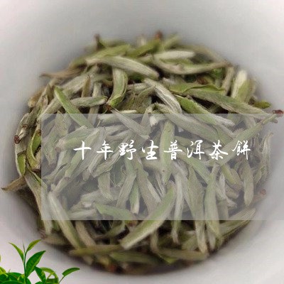 十年野生普洱茶饼/2023033170471