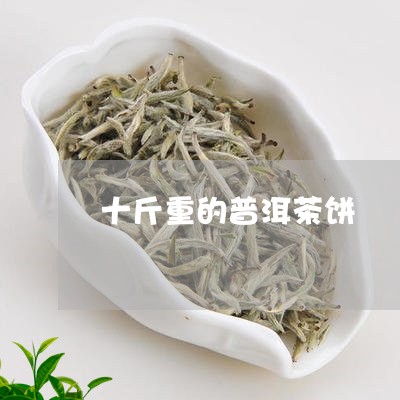 十斤重的普洱茶饼/2023033062847