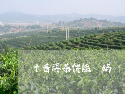 十普洱茶饼能暍妈/2023033162615