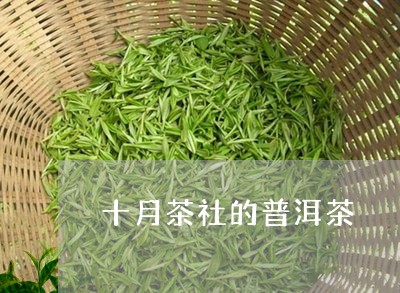 十月茶社的普洱茶/2023033026459