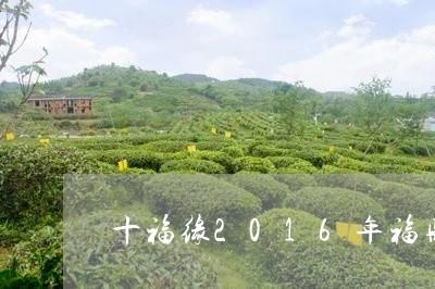 十福缘2016年福鼎白茶/2023033082839