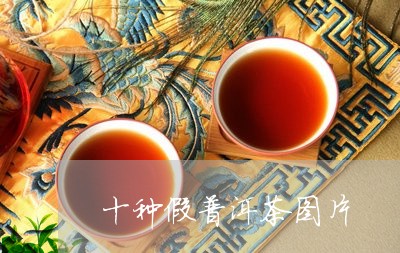 十种假普洱茶图片/2023033167481