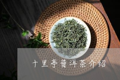 十里亭普洱茶介绍/2023031861616