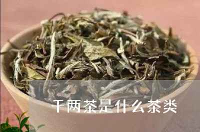 千两茶是什么茶类/2023032459583