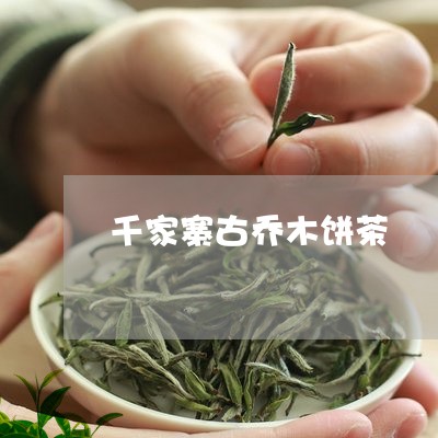 千家寨古乔木饼茶/2023032663836