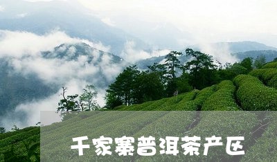 千家寨普洱茶产区/2023033184137