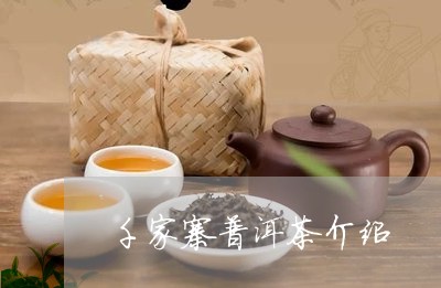 千家寨普洱茶介绍/2023033089483