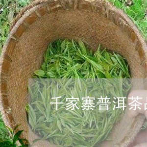 千家寨普洱茶品质/2023033095049