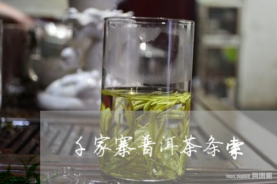 千家寨普洱茶条索/2023041272825