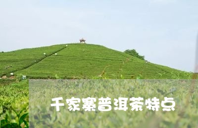 千家寨普洱茶特点/2023041312727