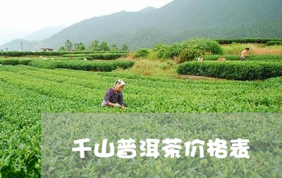 千山普洱茶价格表/2023033038279