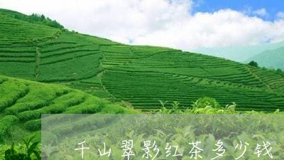 千山翠影红茶多少钱/2023031914061