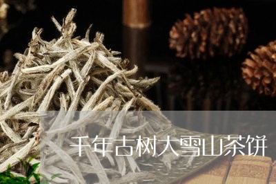 千年古树大雪山茶饼/2023041406050