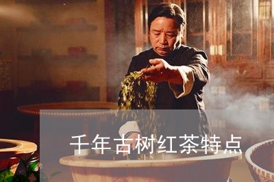 千年古树红茶特点/2023032473925