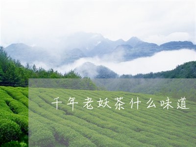 千年老妖茶什么味道/2023032003726