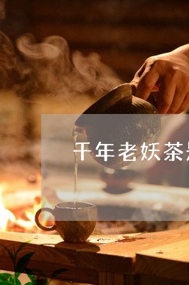 千年老妖茶是哪里茶/2023032011703