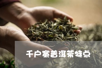 千户寨普洱茶特点/2023033009261