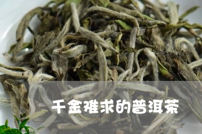 千金难求的普洱茶/2023033004837